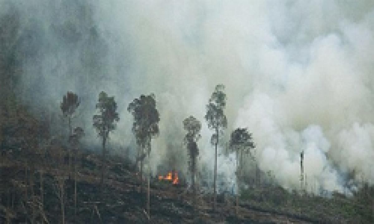 Six killed in Indonesia forest fire